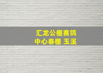 汇龙公棚赛鸽中心春棚 玉溪